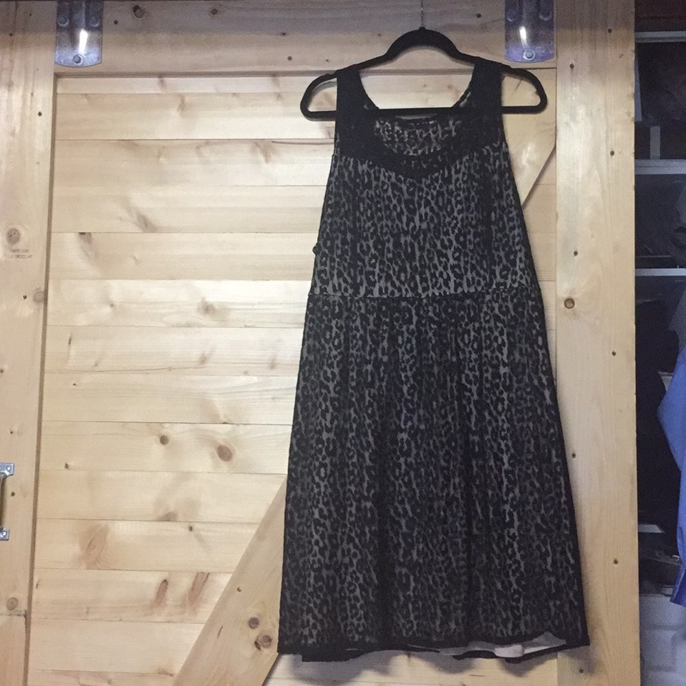 Lane Bryant dress
